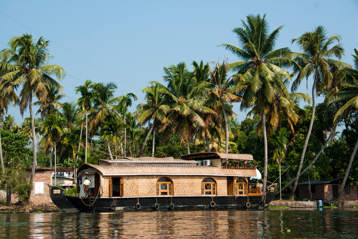 Houseboat and Palms