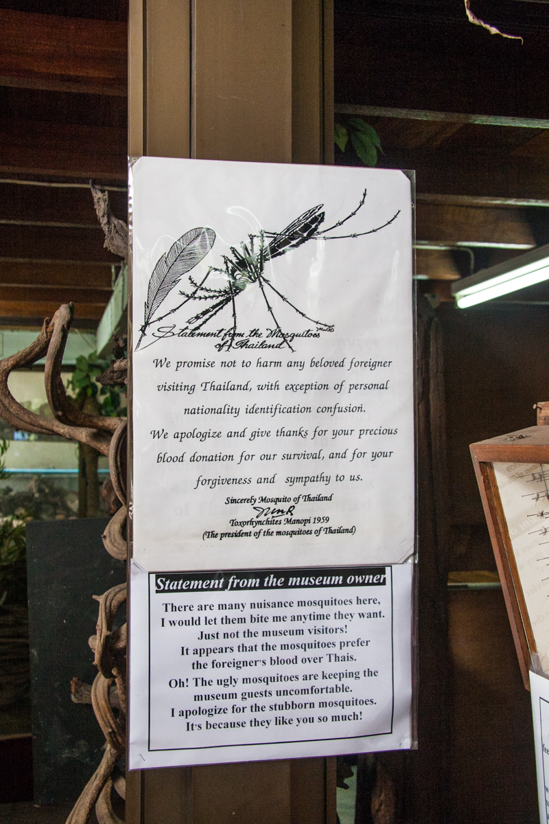 Statement from the Mosquitos of Thailand
