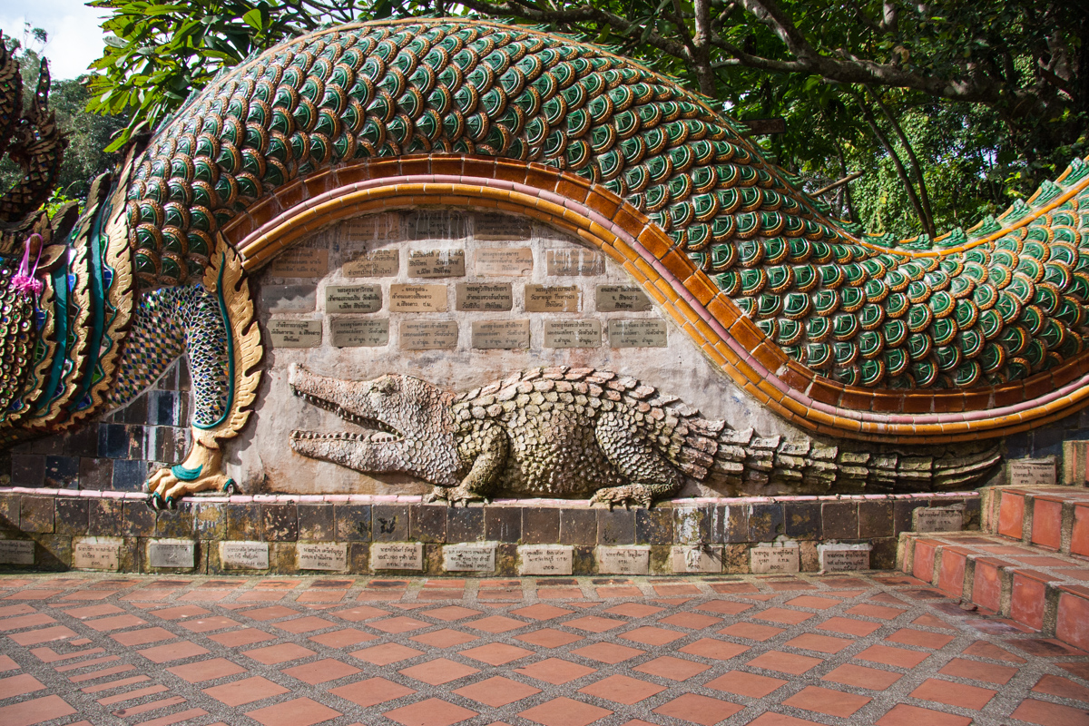 Naga's Belly and Crocodile