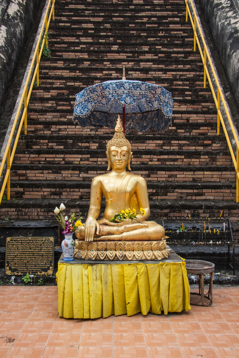 Buddha and Parasol