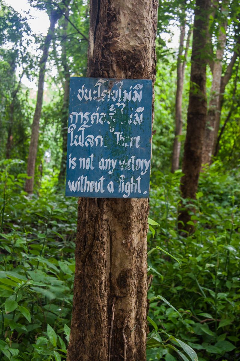 Signs in the Forest