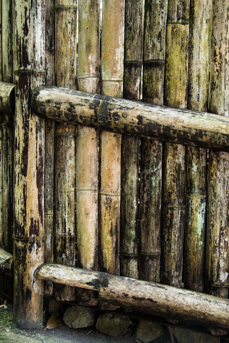 Weathered Bamboo Fence